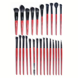 BEAUTILICIOUS HUEDE 25PCS BRUSH SET