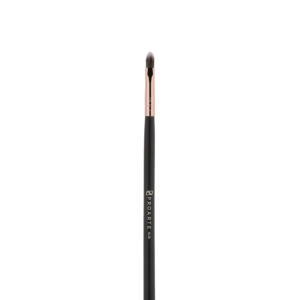 PROARTE Lips Precision Brush - AL 36